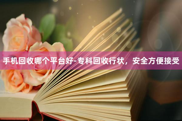 手机回收哪个平台好-专科回收行状，安全方便接受