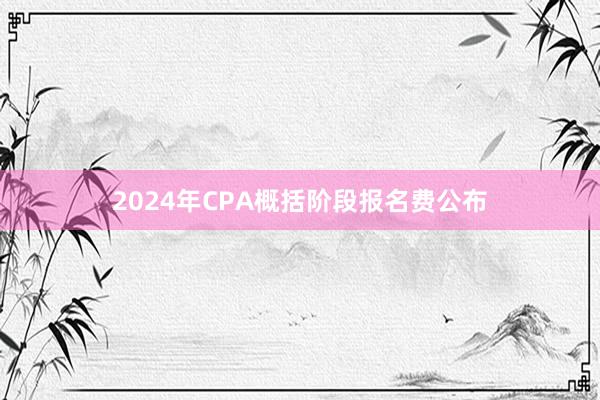 2024年CPA概括阶段报名费公布